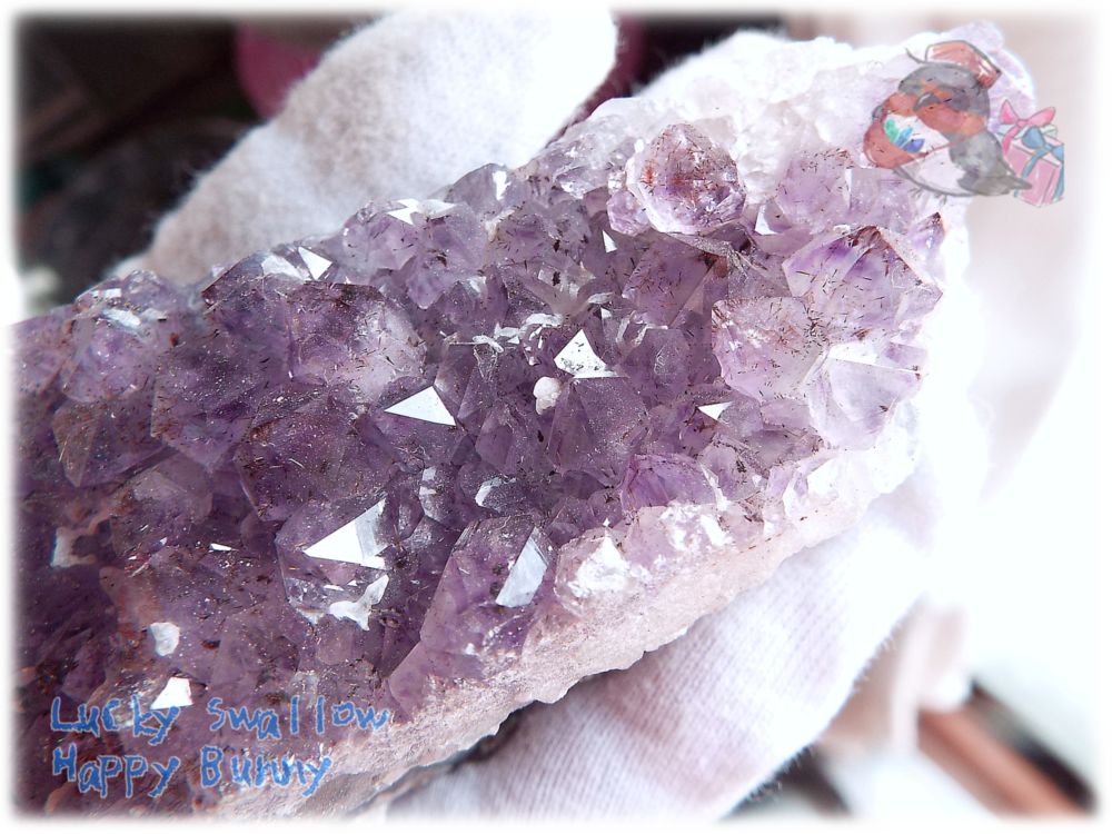 水晶 アメジスト 紫水晶 パワーストーン 原石 6個セット 貴重